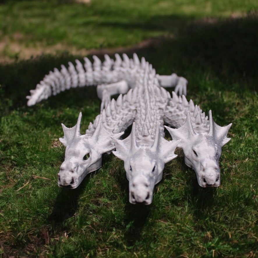 3 Headed Dragon