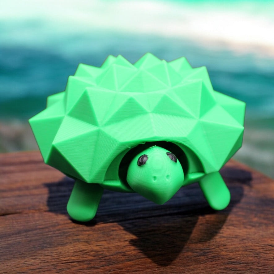 Bouncy Turtle