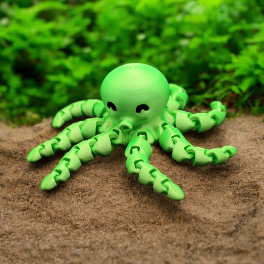 Octopus